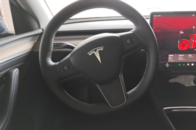 Tesla Model Y 2022 #15 Tesla Model Y 2022 car image #15