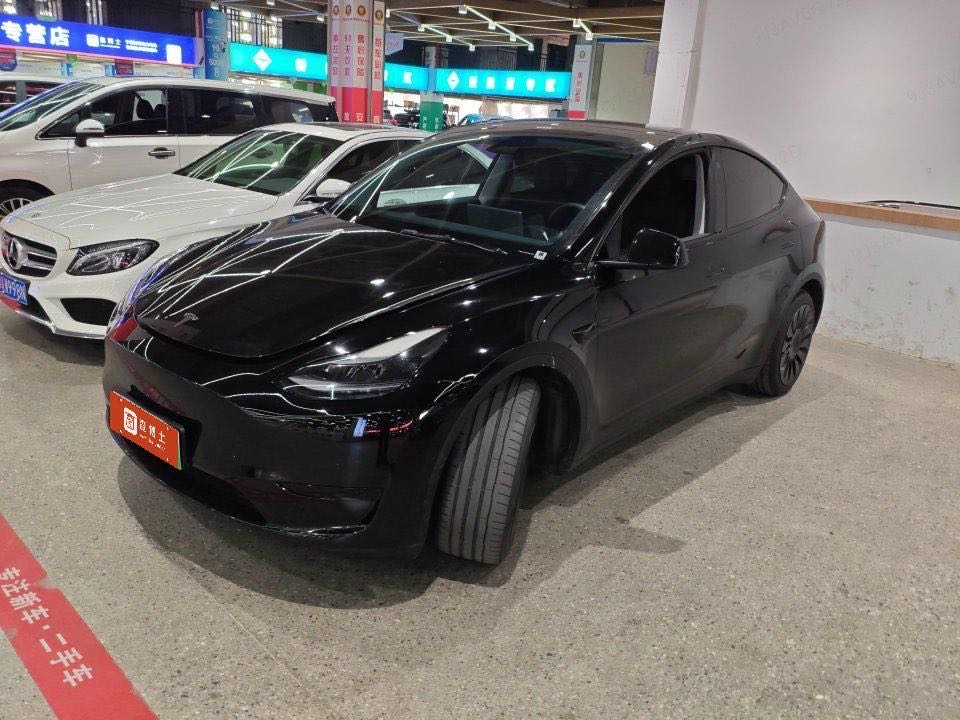 Tesla Model Y 2021 Tesla Model Y 2021 car image