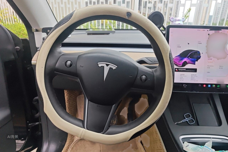 Tesla Model Y 2021 car image #12