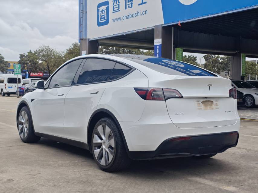 Tesla Model Y 2021 car image #6