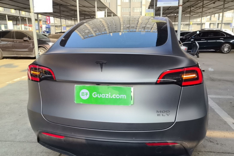 Tesla Model Y 2021 car image #6