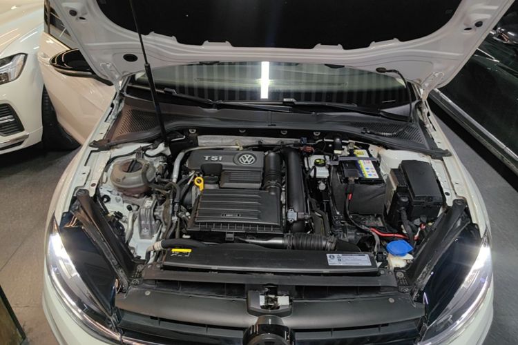 Volkswagen Golf 2019 car image #20