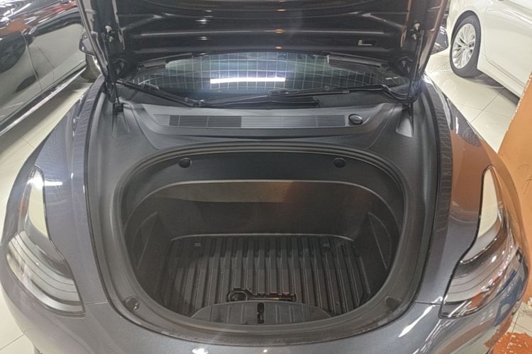 Tesla Model 3 2021 car image #20