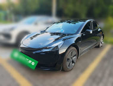 Tesla Model 3 2023 immagine di auto 