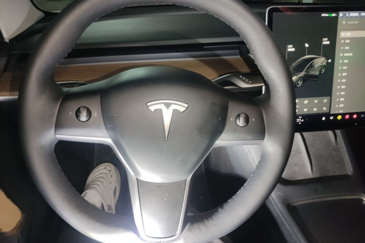 Tesla Model 3 2021 #15 Tesla Model 3 2021 car image #15