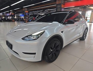 Tesla Model Y 2023 Tesla Model Y 2023 car image