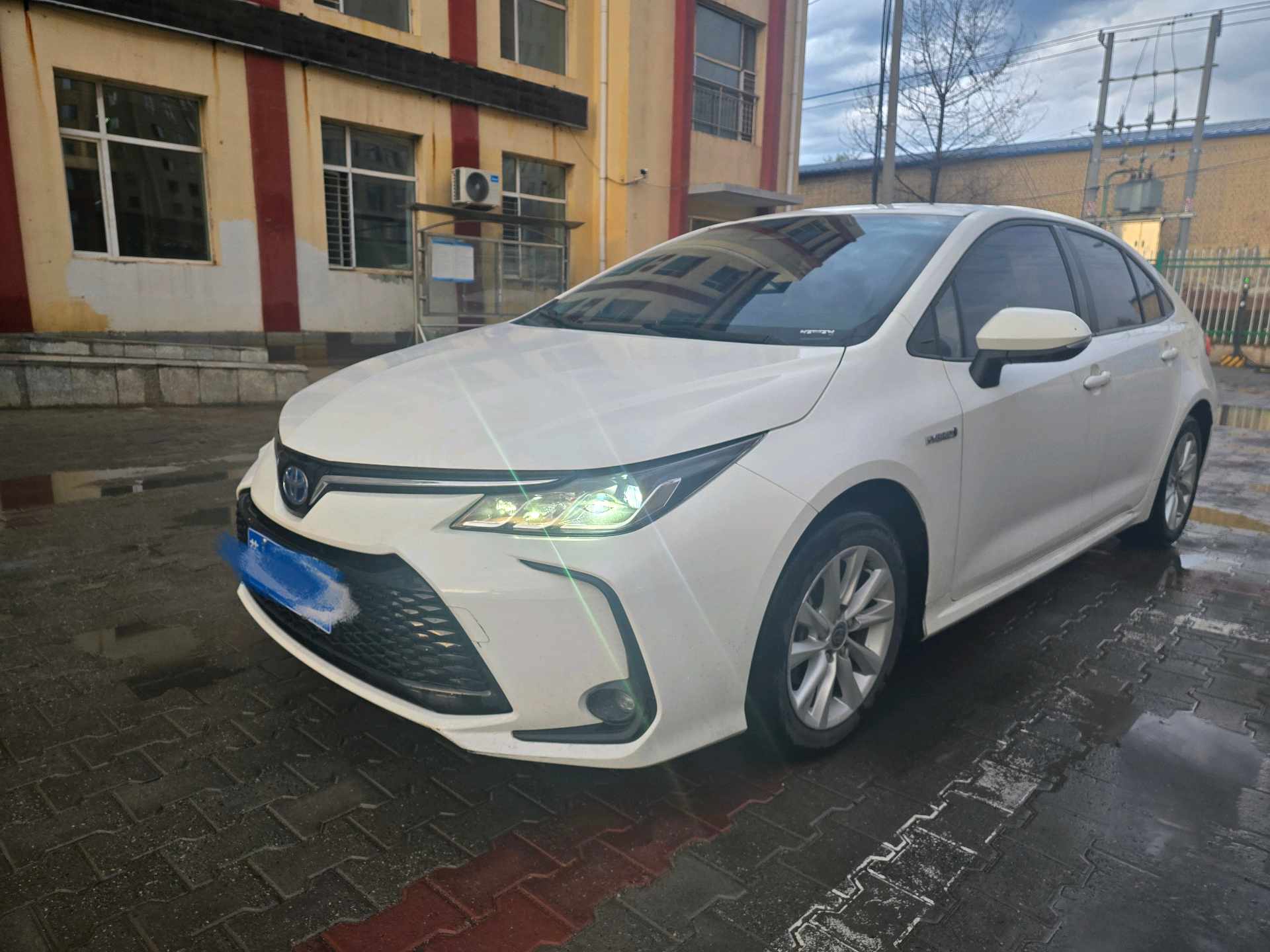 Toyota Corolla 2024 Toyota Corolla 2024 car image