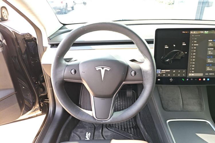 Tesla Model 3 2021 car image #11