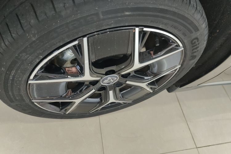 BYD Han 2024 imagen de coche #9