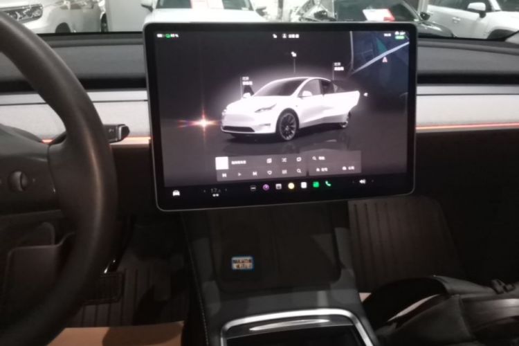Tesla Model Y 2024 car image #14