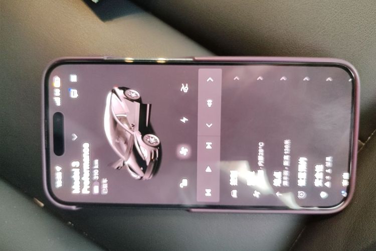 Tesla Model 3 2021 car image #9