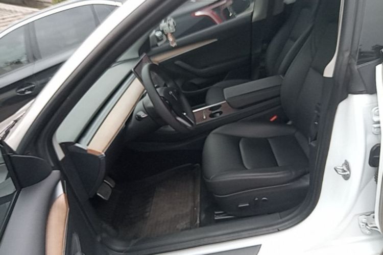 Tesla Model 3 2021 car image #19
