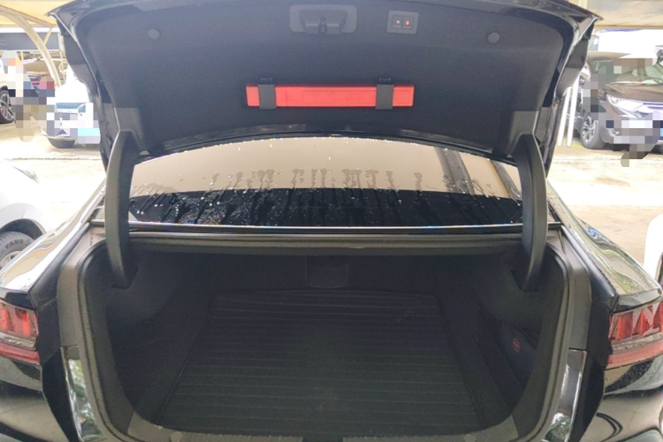 BYD Han 2021 #19 BYD Han 2021 immagine di auto #19