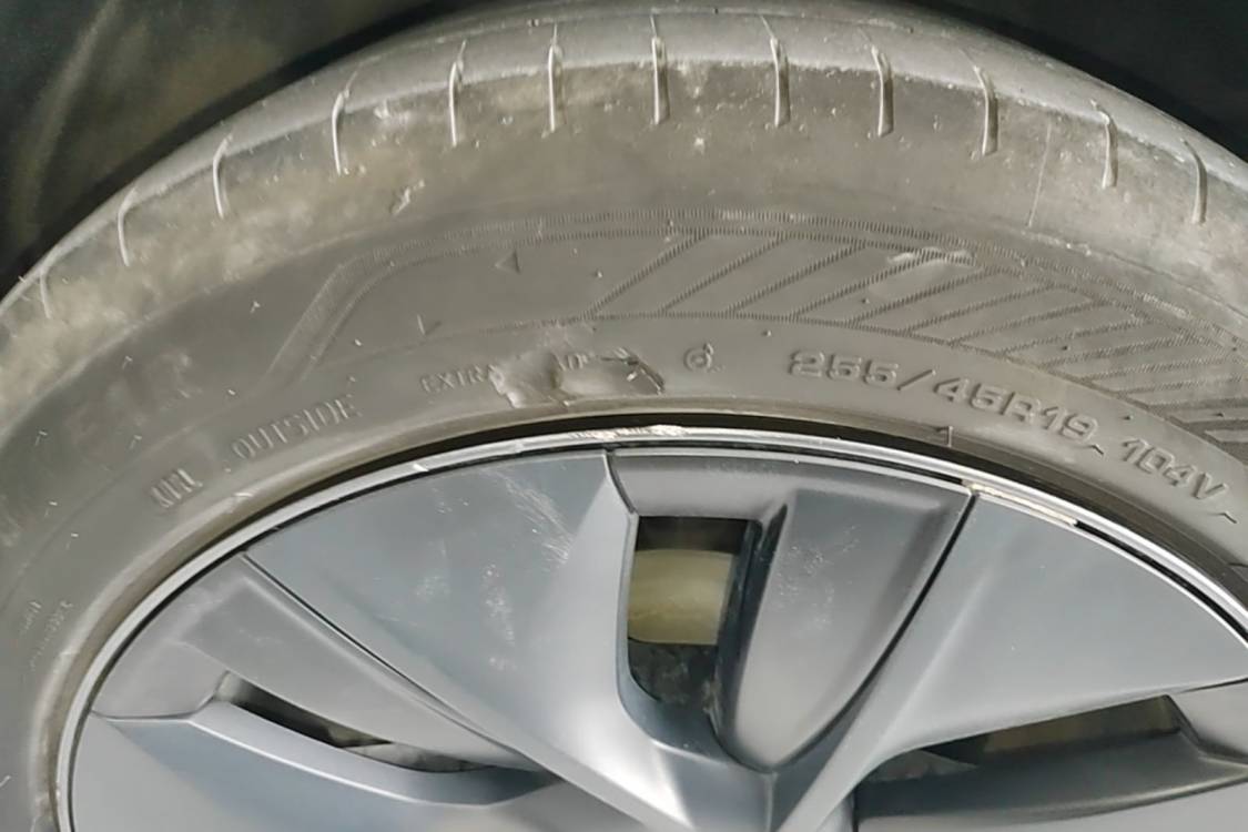 Tesla Model Y 2024 #24 Tesla Model Y 2024 car image #24