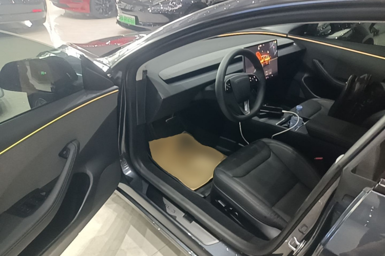 Tesla Model 3 2025 car image #16
