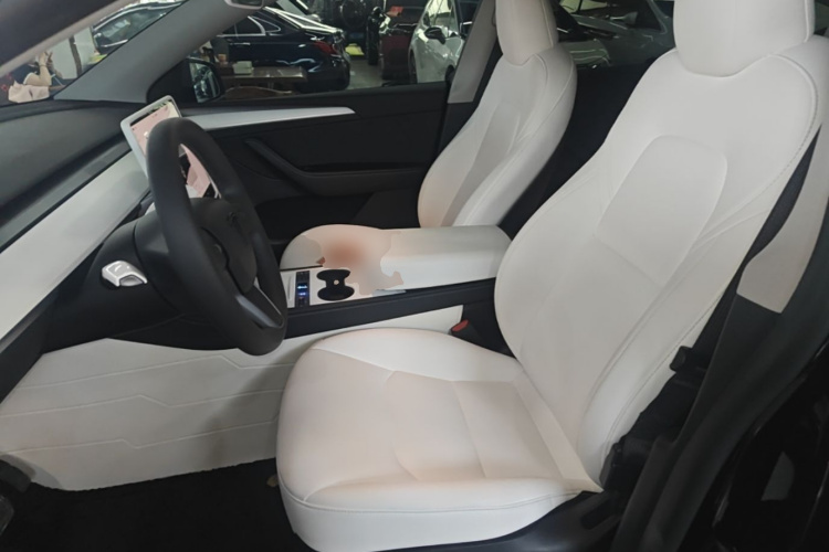 Tesla Model Y 2023 car image #15