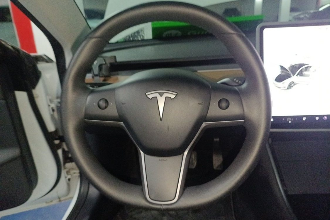 Tesla Model 3 2020 #22 Tesla Model 3 2020 car image #22