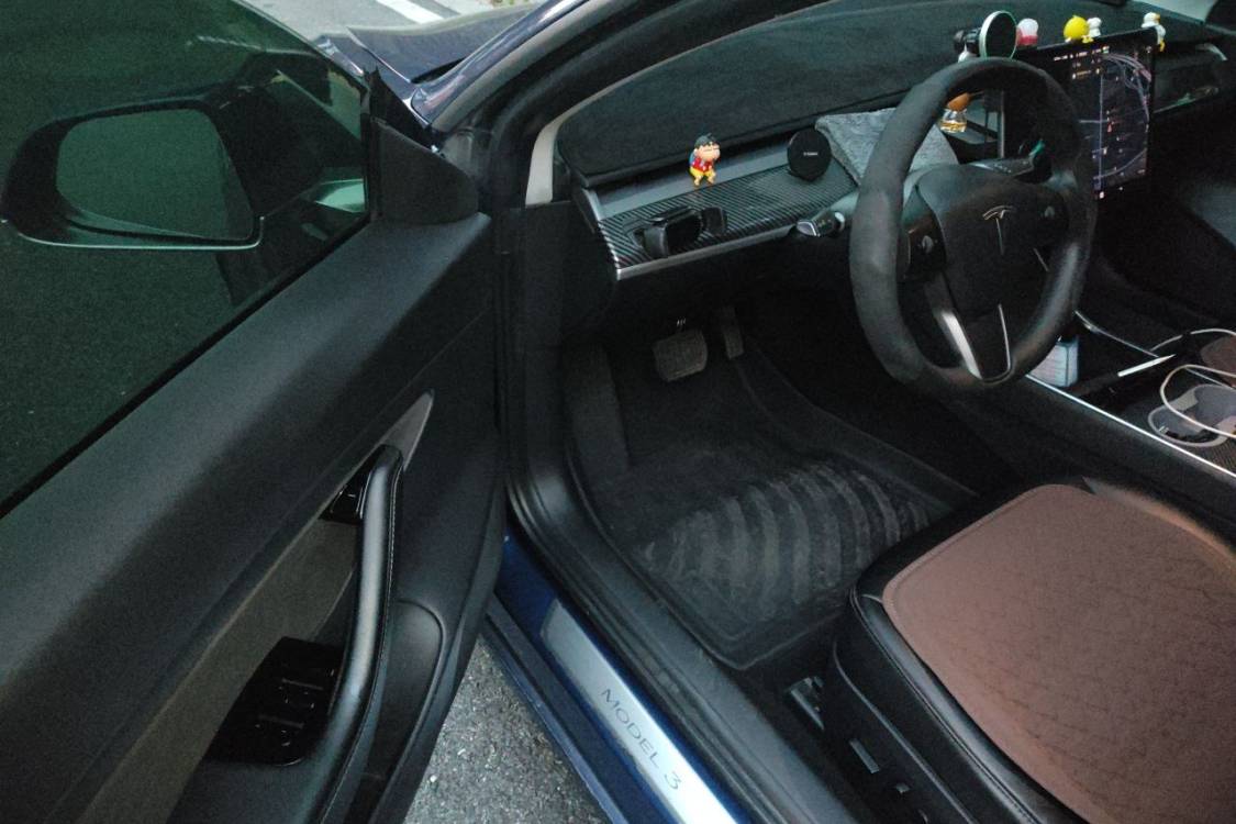 Tesla Model 3 2020 #25 Tesla Model 3 2020 car image #25