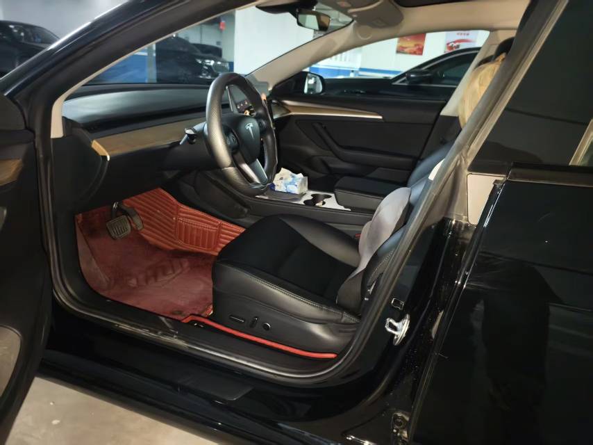 Tesla Model 3 2021 imagem de carro #3