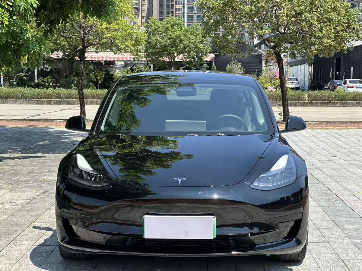 Tesla Model 3 2021 #2 Tesla Model 3 2021 car image #2