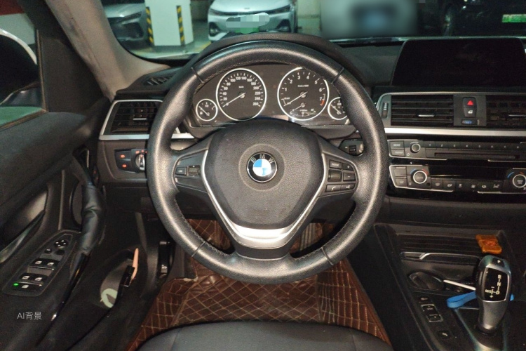 BMW 3 Series 2016 car image #12