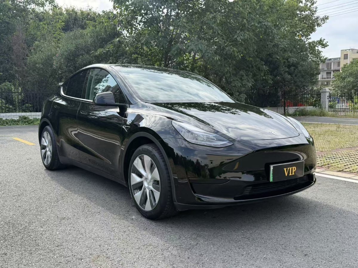 Tesla Model Y 2023 car image #3