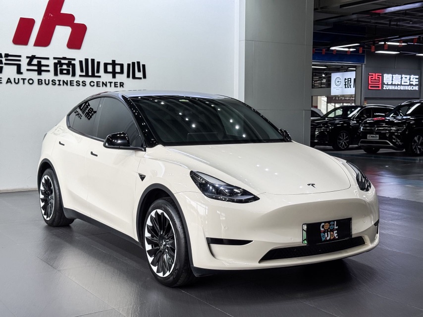 Tesla Model Y 2024 car image #3