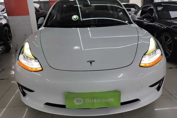 Tesla Model 3 2021 #3 Tesla Model 3 2021 car image #3