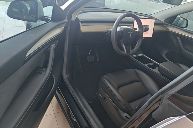 Tesla Model Y 2022 car image #16