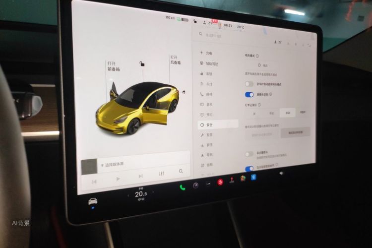 Tesla Model 3 2020 car image #15