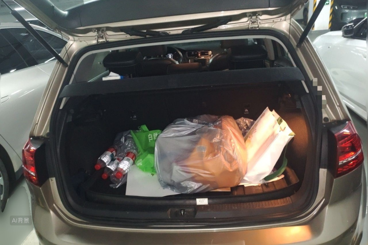 Volkswagen Golf 2017 car image #21