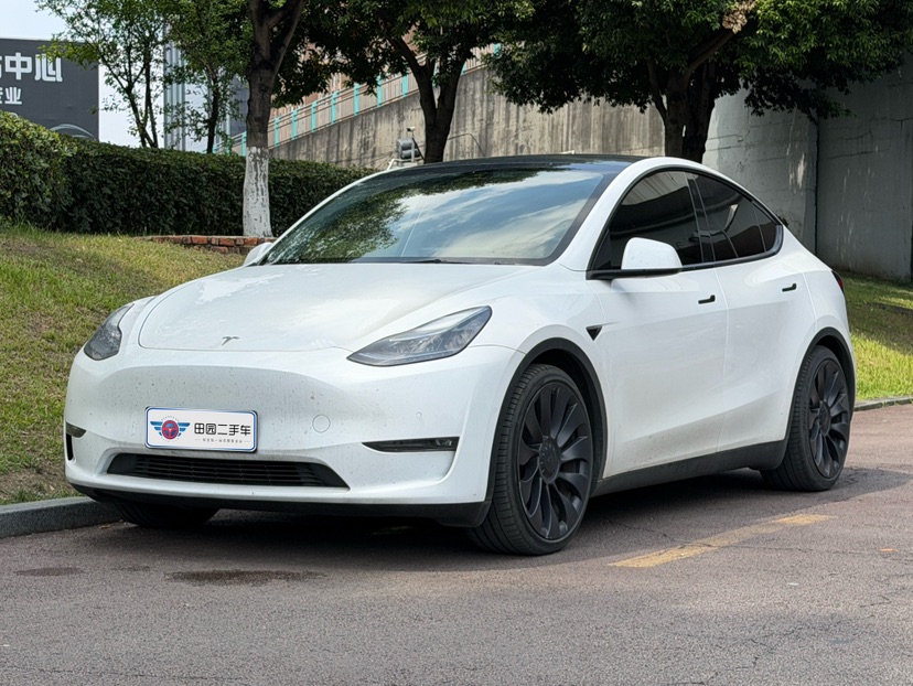 Tesla Model Y 2023 car image 