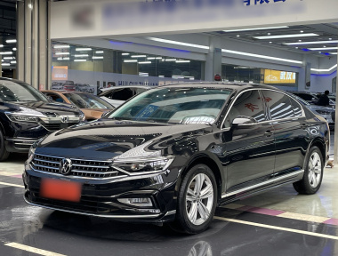 Volkswagen Magotan 2024 car image 