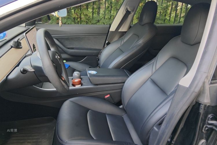 Tesla Model 3 2020 #17 Tesla Model 3 2020 car image #17