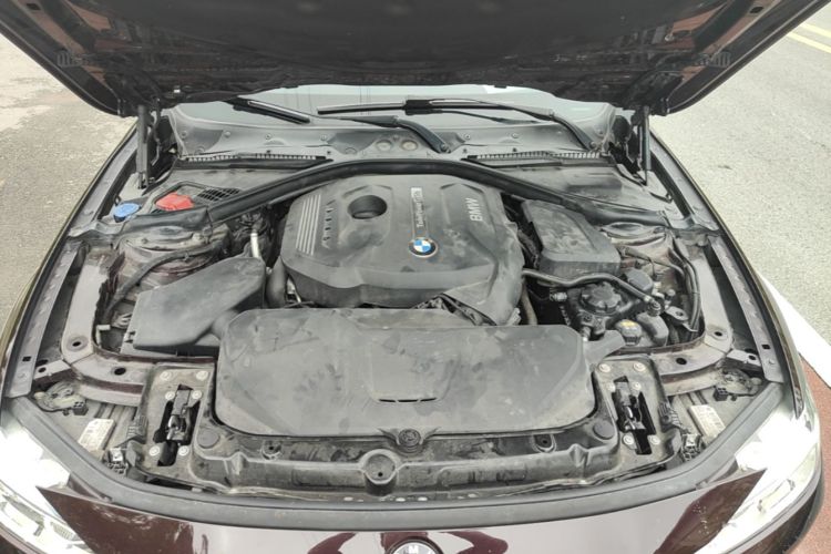 BMW 3 Series 2017 #20 BMW 3 Series 2017 car image #20