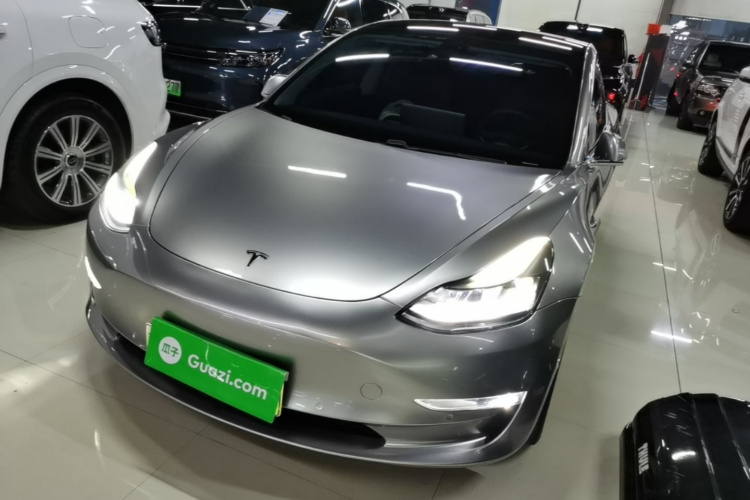 Tesla Model 3 2020 imagem de carro #2