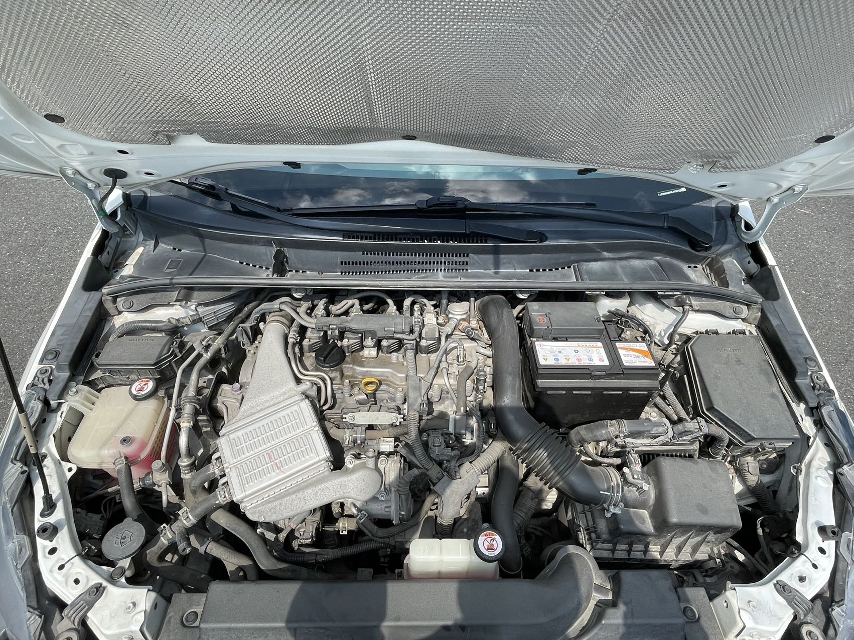 Toyota Corolla 2020 car image #12