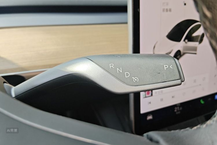 Tesla Model 3 2021 car image #16