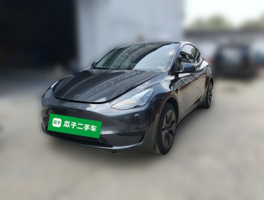 Tesla Model Y 2024 car image 