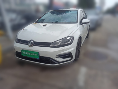 Volkswagen Golf 2019 Volkswagen Golf 2019 car image