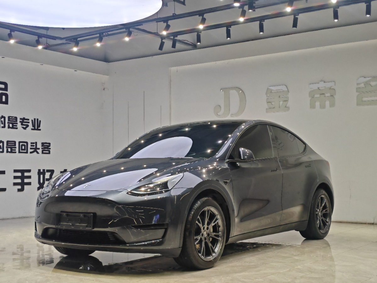 Tesla Model Y 2024 car image 