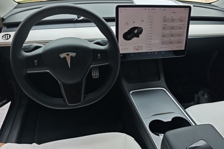 Tesla Model 3 2021 car image #10