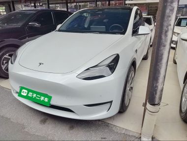 Tesla Model Y 2021 car image 