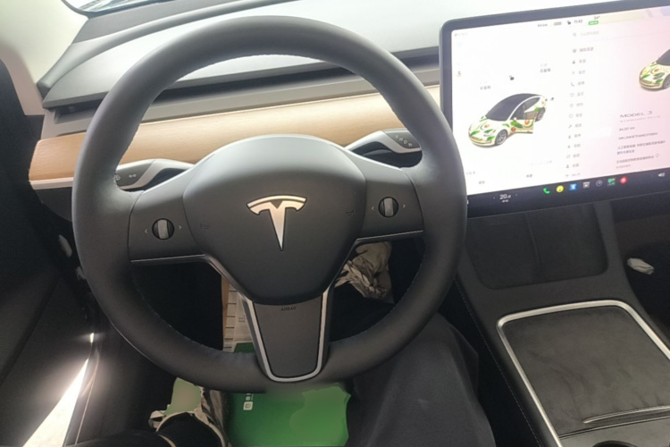 Tesla Model 3 2021 #11 Tesla Model 3 2021 car image #11