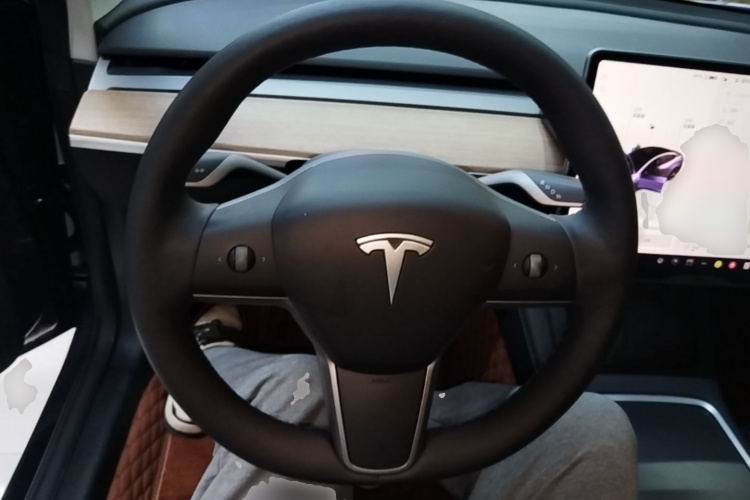 Tesla Model 3 2022 imagem de carro #11