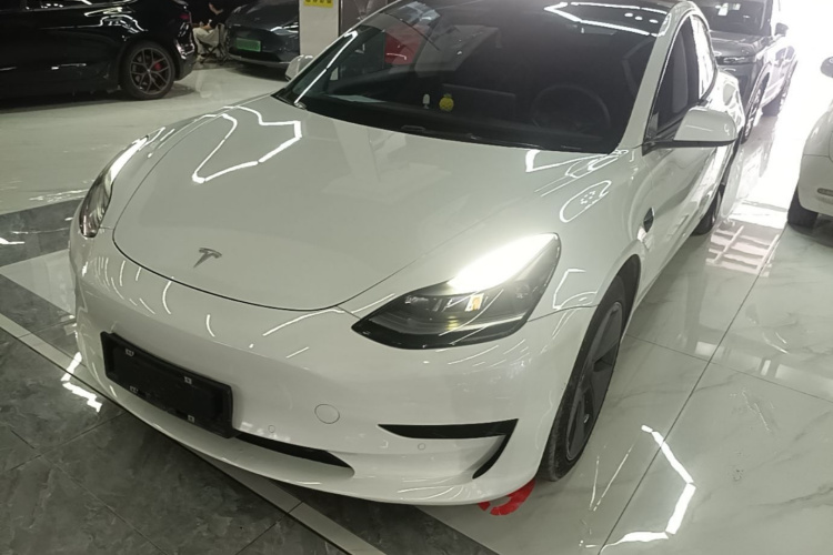 Tesla Model 3 2022 #2 Tesla Model 3 2022 car image #2