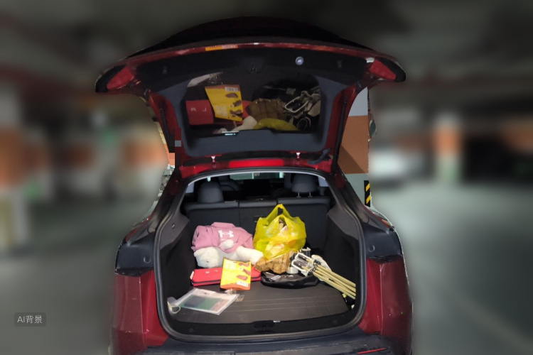 Tesla Model Y 2025 car image #21