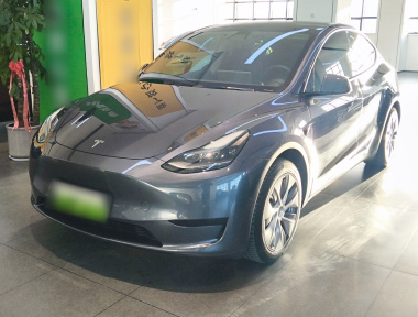 Tesla Model Y 2022 car image 