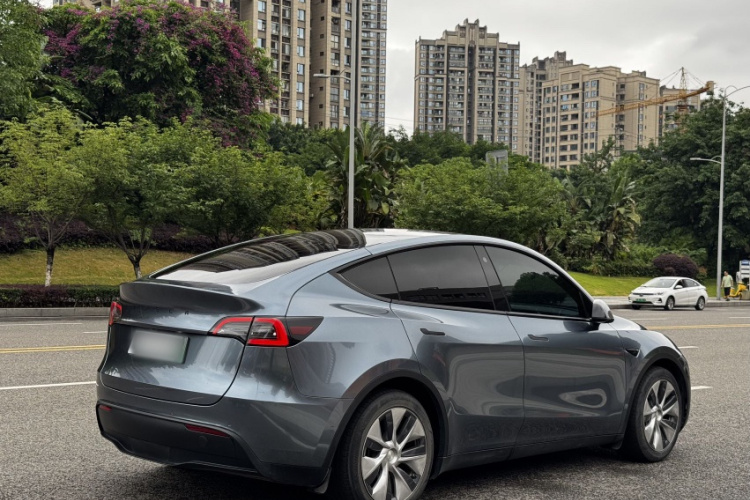 Tesla Model Y 2021 car image #6