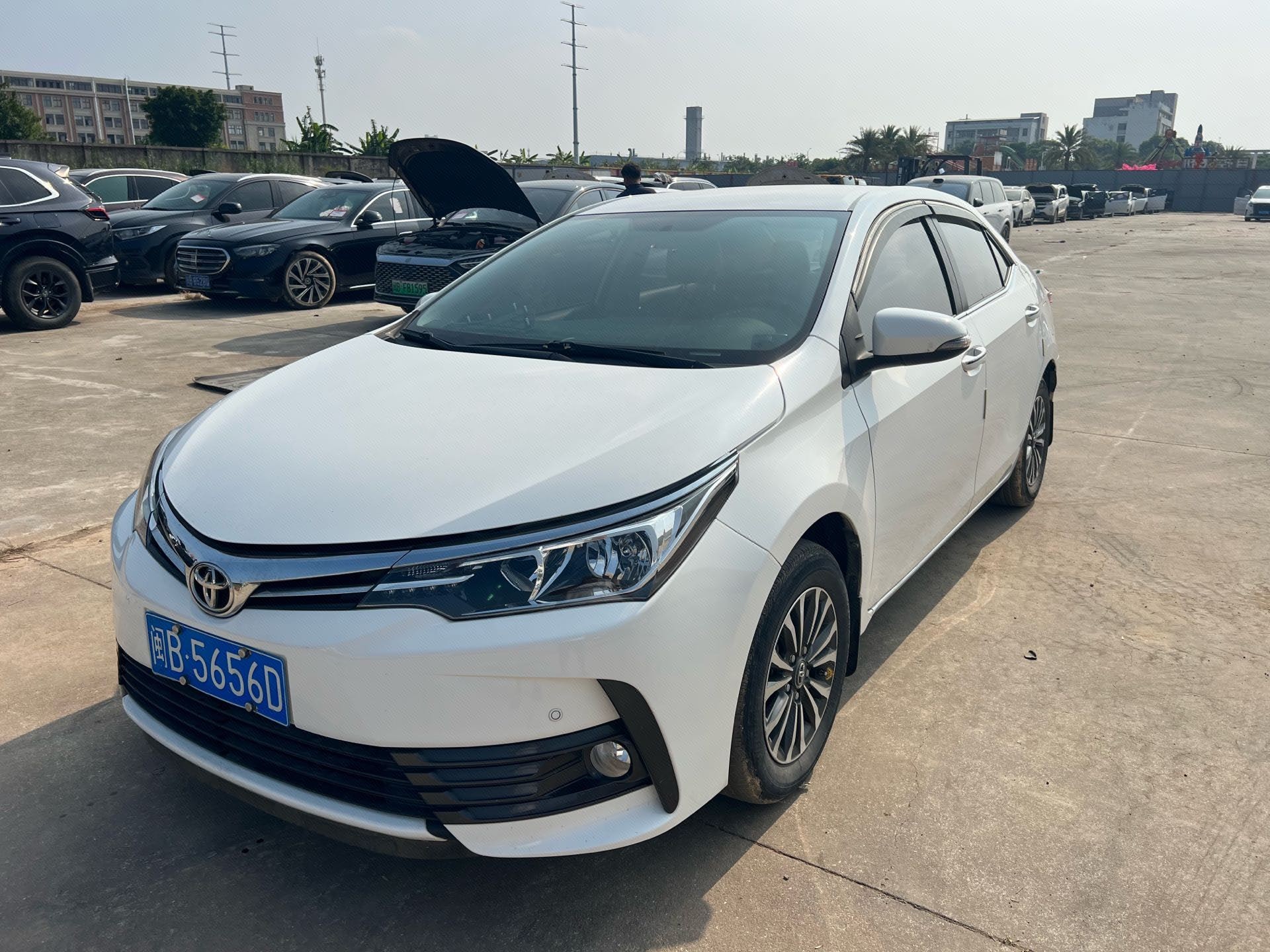 Toyota Corolla 2019 Toyota Corolla 2019 car image